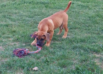 viberimage202109082301105971631887374