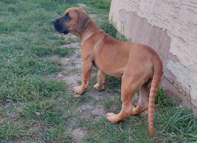 viberimage202109082301112071631887377