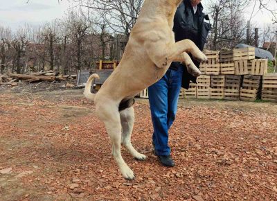 viberimage202109082312261961631193831