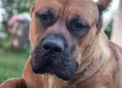 viberimage202109082332582251631205423