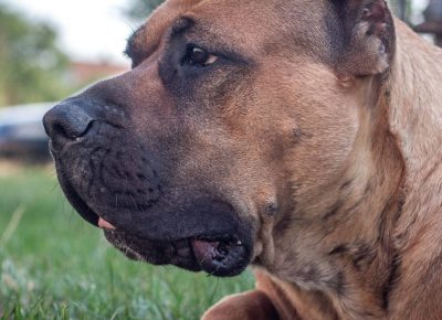 viberimage202109082332582721631900169