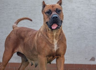 viberimage202109082332591251632435024