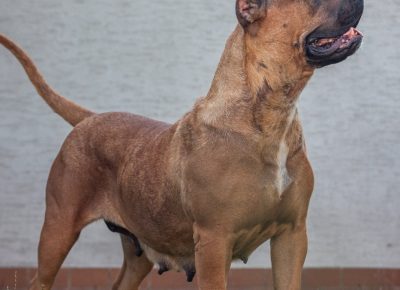 viberimage202109082333005251631205422