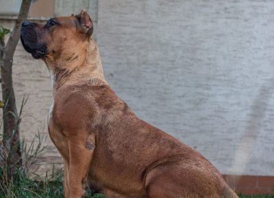 viberimage202109082333006131631900170