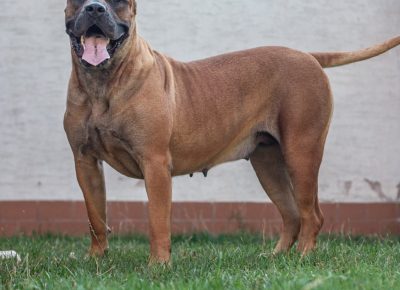 viberimage202109082334068781631900170