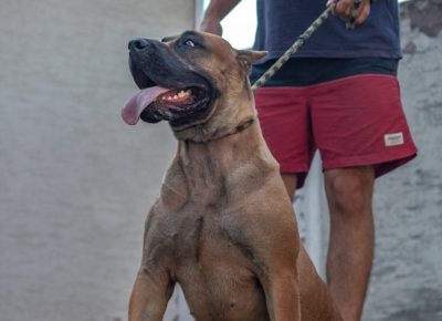 viberimage202109082334070021632435025