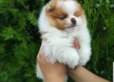 viberimage202109101812273201631376643