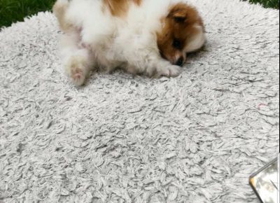 viberimage202109101812276701631376644