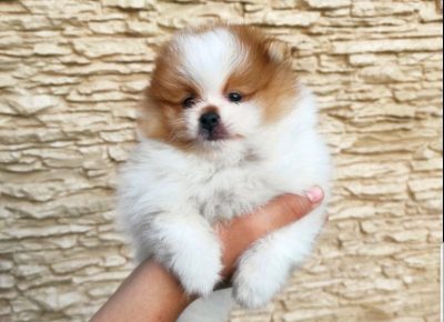 viberimage202109101812284061631376644