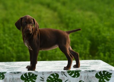 viberimage202109111645394031631467290