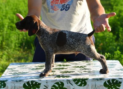 viberimage202109111645470341631467291