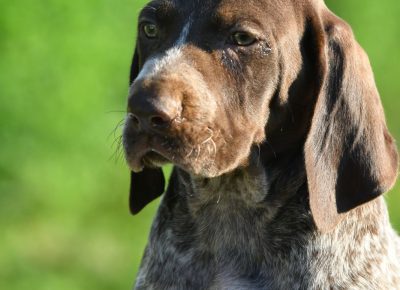 viberimage202109111645585371631467291