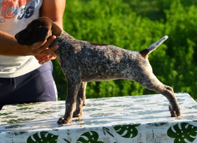 viberimage202109111647168541631467291