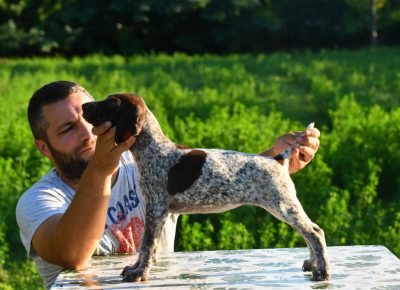 viberimage202109111647376271631467291