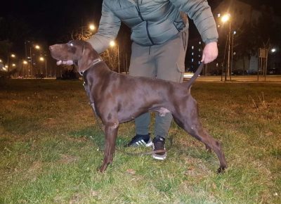 viberimage202109111703440741631467289