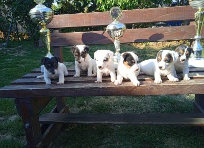 viberimage202109132249201121631712140