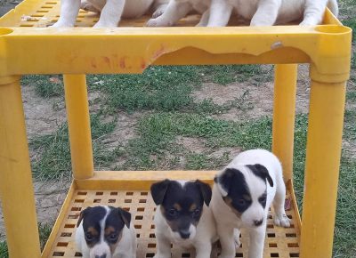 viberimage202109132249210101631712141