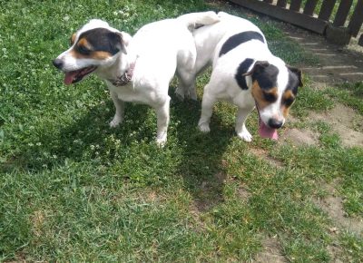 viberimage202109132302095761631712141