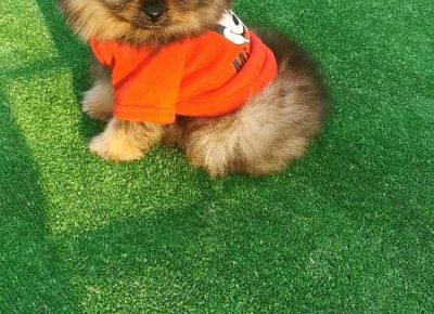 viberimage202109142127189371631879960