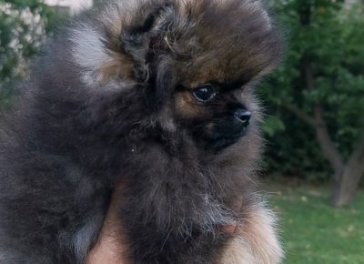 viberimage202109142128548911631879959