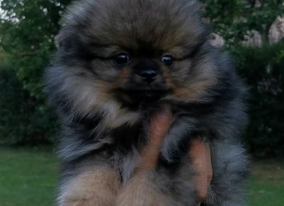 viberimage202109142128549961631879959