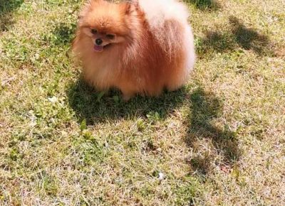 viberimage202109142140017731631879960