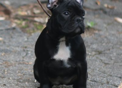 viberimage202109150958113321631820546