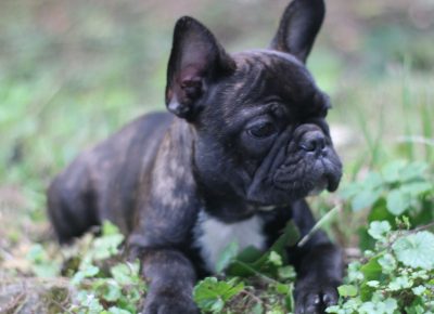 viberimage202109150959461021631820575