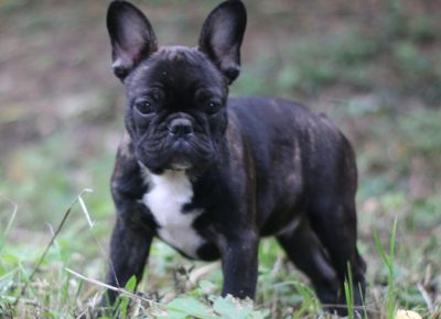 viberimage202109150959498851631820575