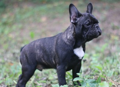 viberimage202109151000456181631820575