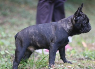 viberimage202109151000496831631820576