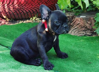 viberimage202109151032511411631827621