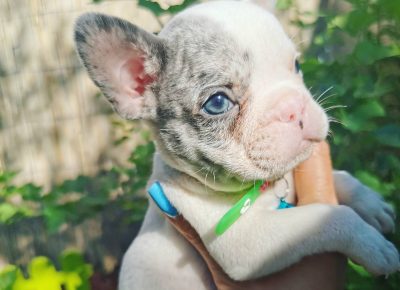 viberimage202109151033105011631827618