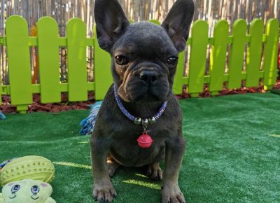 viberimage202109151033230481631827621