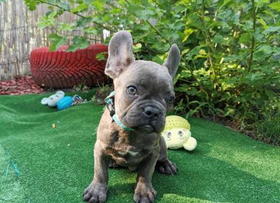 viberimage202109151033563231631827622