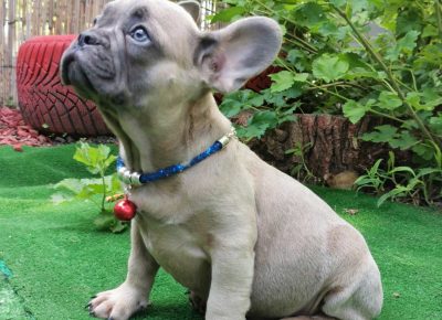 viberimage202109151034147071631827622