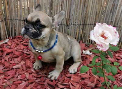 viberimage202109151034189671631827622