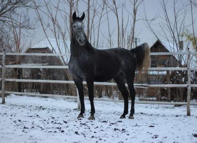 viberimage202109151537513581631889694