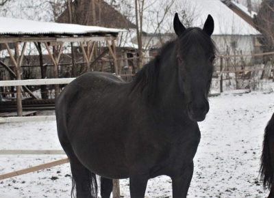 viberimage202109151537516511631889694