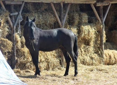 viberimage202109151537528901631889695