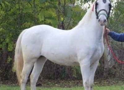 viberimage202109151537542091631889695