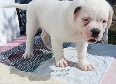 viberimage202109181531253771632065308