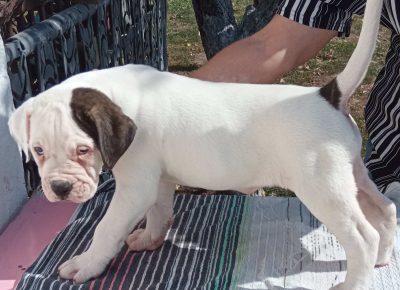 viberimage202109181531471961632065310