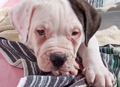 viberimage202109181531500001632065309