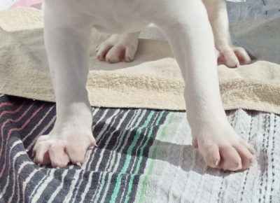 viberimage202109181532157931632065309