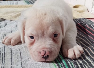 viberimage202109181532338321632065309