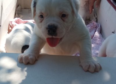 viberimage202109181537001261632065308