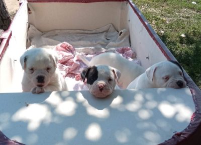 viberimage202109181538094991632065310