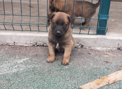 viberimage202109191055241431632087959