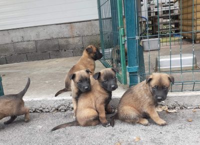 viberimage202109191055242581632087961